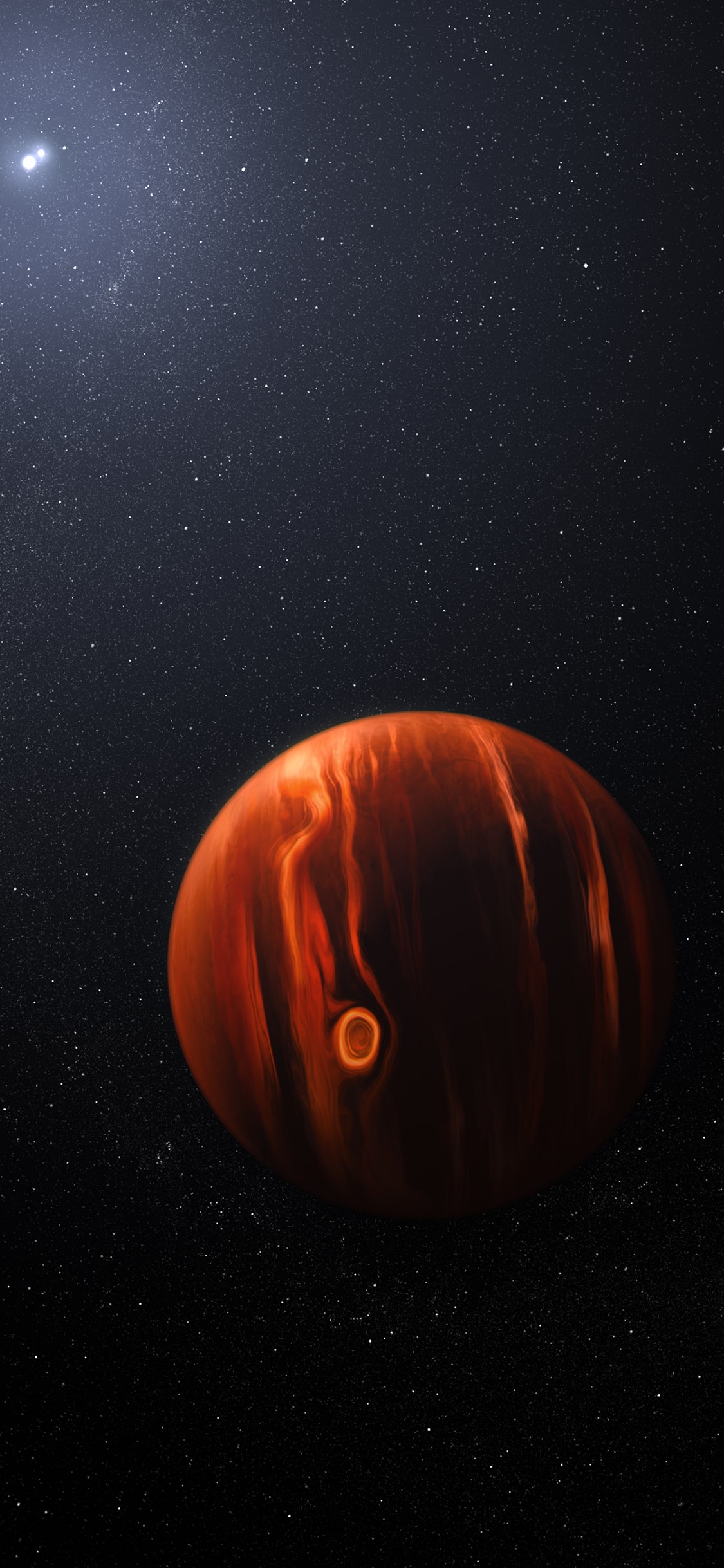 Exoplanet VHS 1256 b and Its Stars