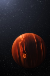 Exoplanet VHS 1256 b and Its Stars